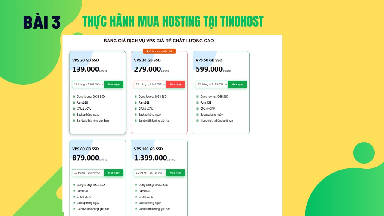 Thue May Chu Web Hosting2