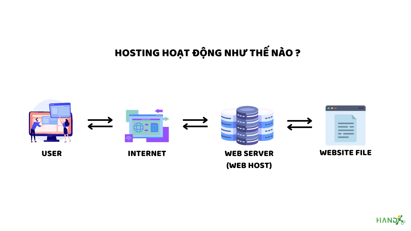 Hosting Website Là Gì? Nói 1 Lèo Về Dịch Vụ Hosting Từ A - Z